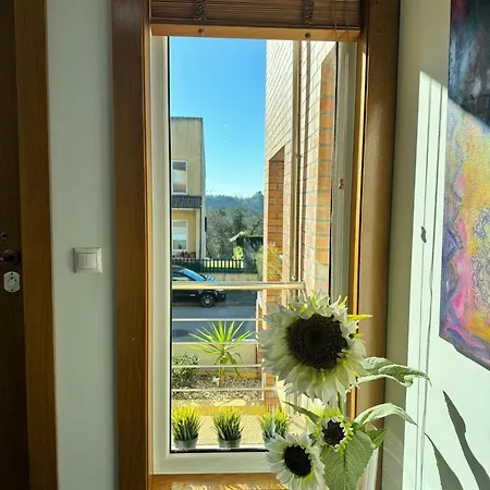 Passadicos Da Ria Apartment *