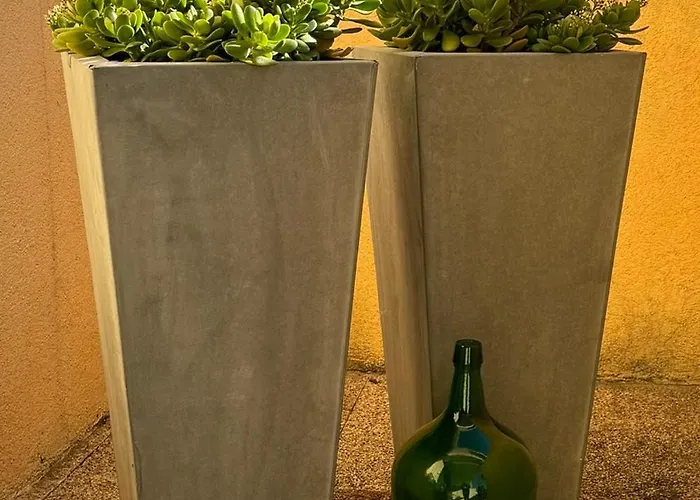 Passadiços Da Ria *