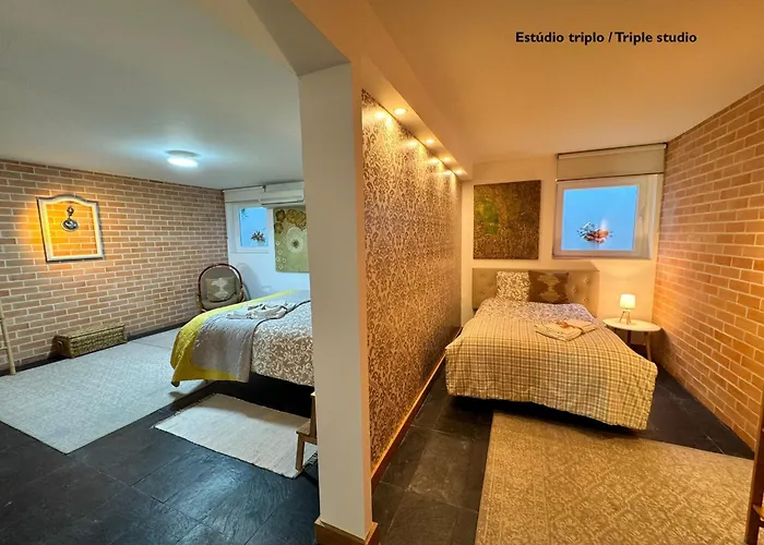 Passadicos Da Ria Apartman Aveiro