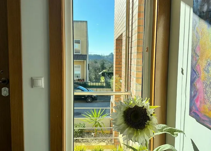 Passadicos Da Ria Apartman *