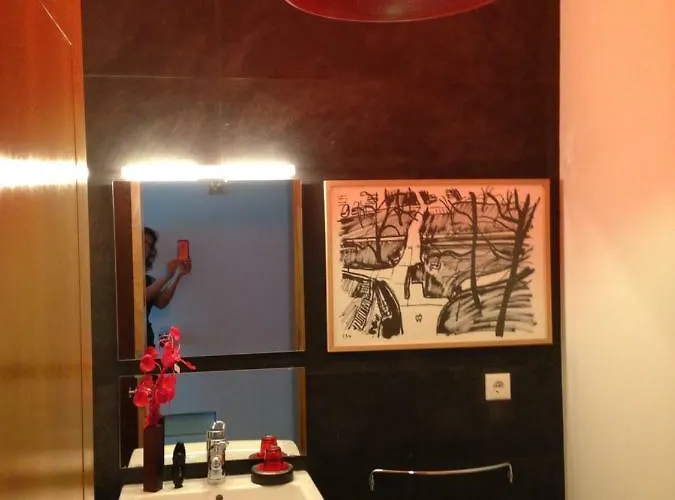 Passadicos Da Ria Apartman Aveiro