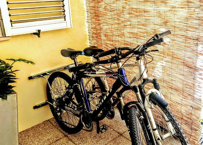 Passadiços Da Ria * Aveiro