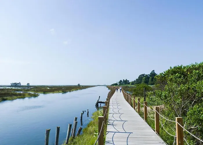 Passadicos Da Ria Apartman